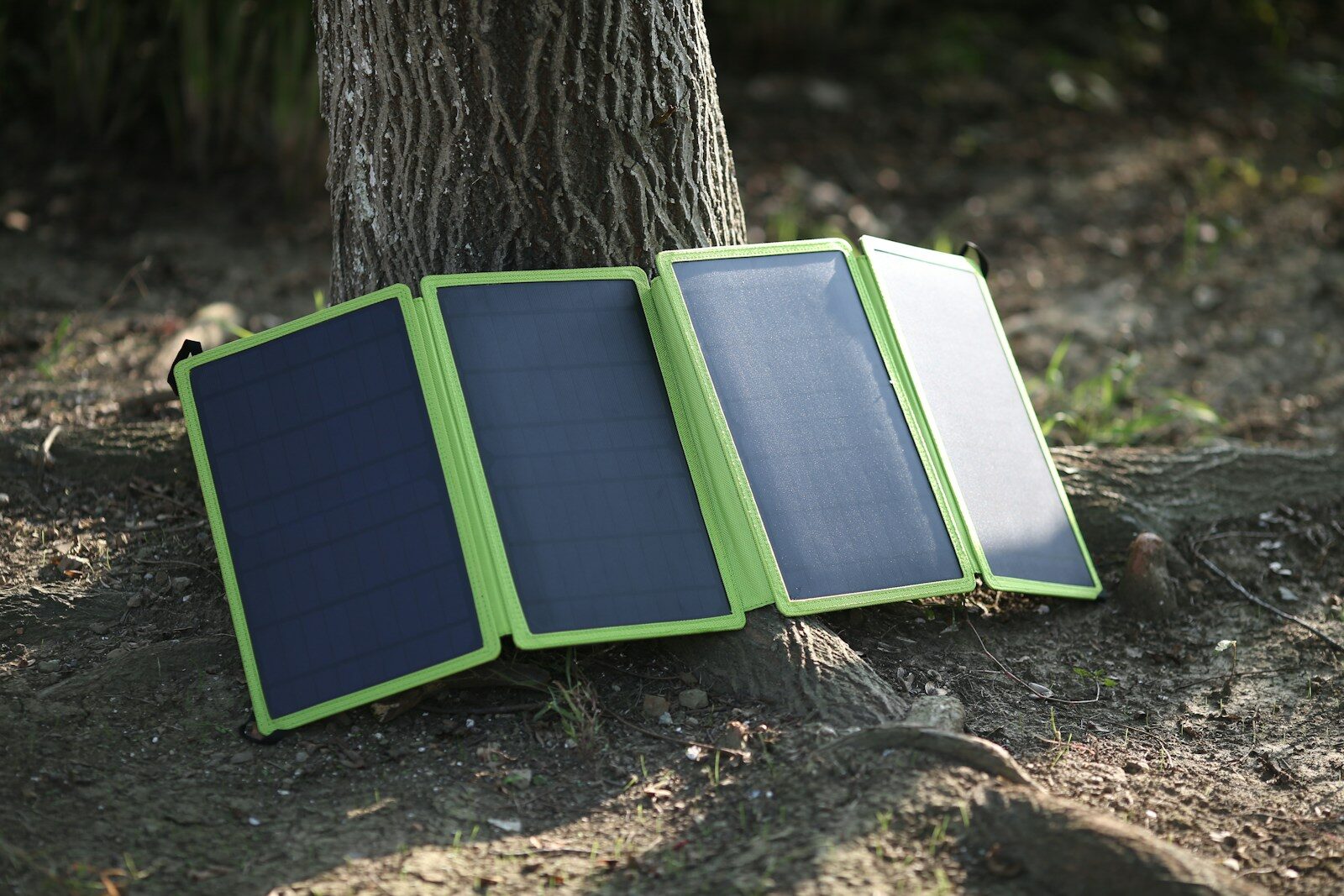 a tree with green frames
